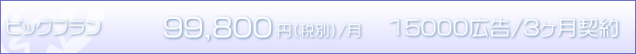 ビッグ